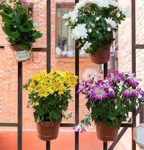 Ace Z12 Centrico 3 Pax - Parking Gratis *