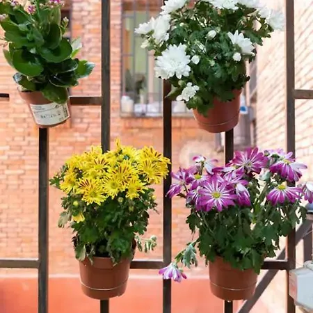 Ace Z12 Centrico 3 Pax - Parking Gratis *